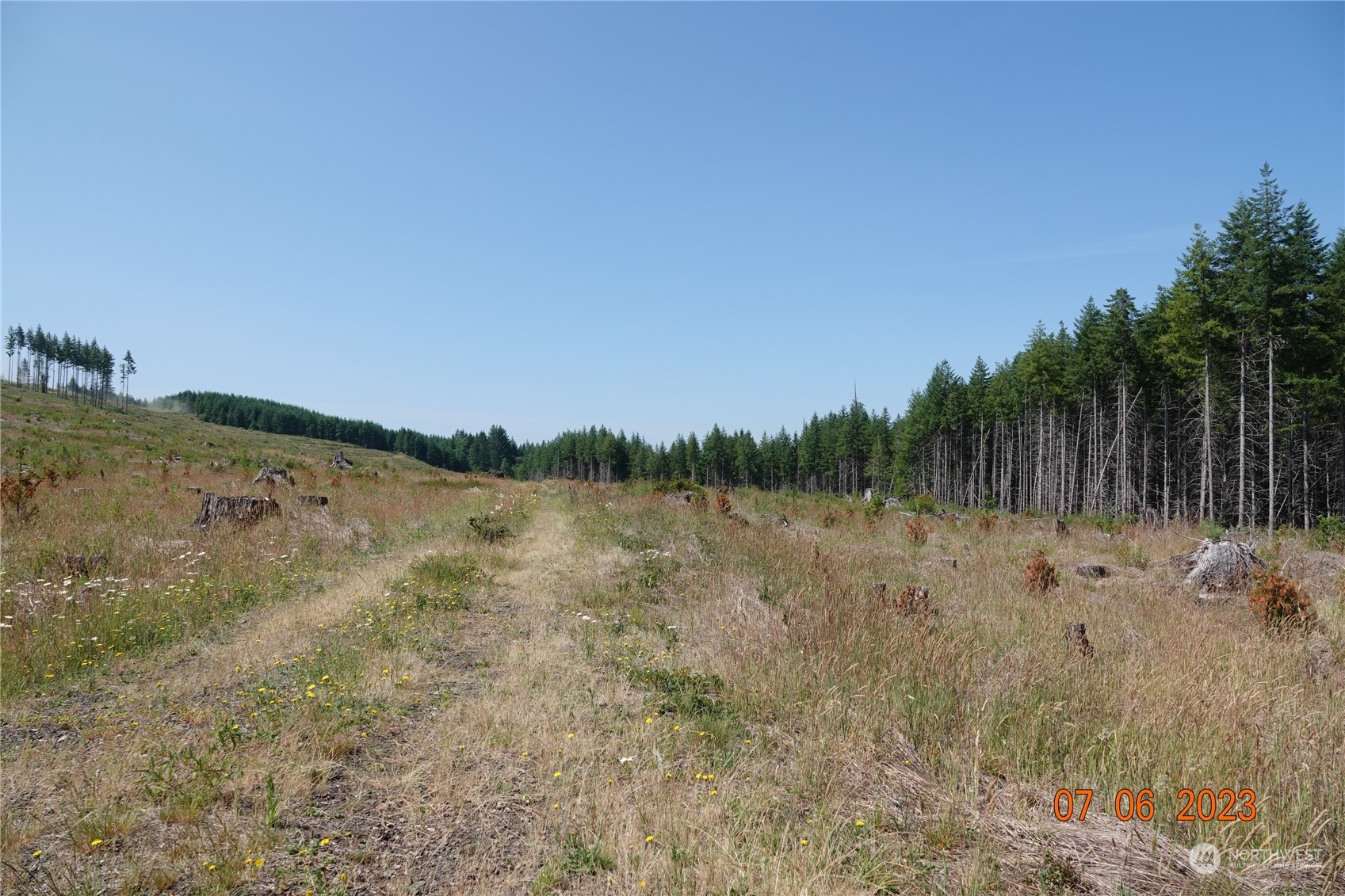 1068 Salmon Creek Road Mossyrock, WA 98564 - Photo 23 of 37 a view of lake with green space