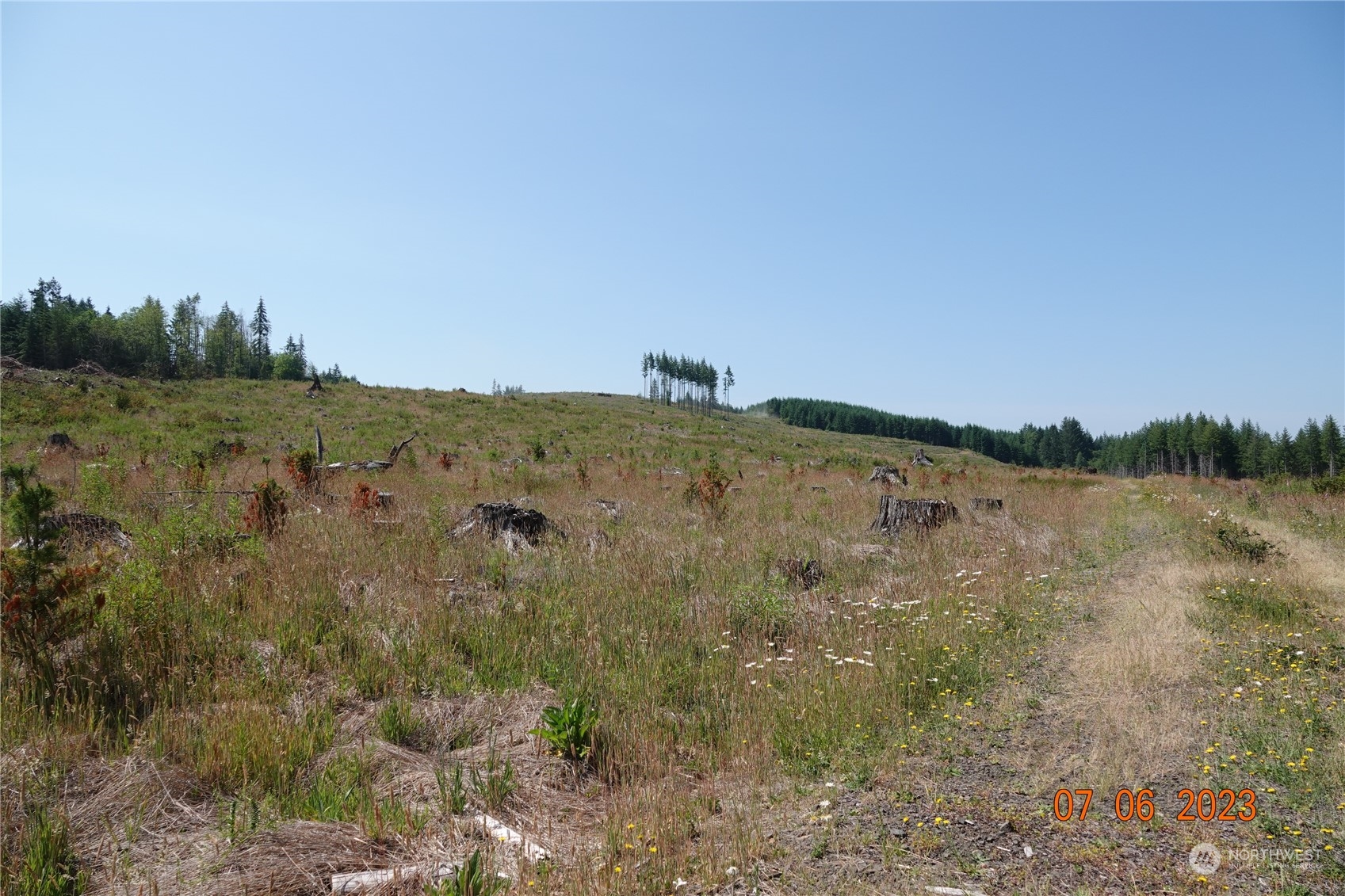 1068 Salmon Creek Road Mossyrock, WA 98564 - Photo 25 of 37 a view of a lake with mountains in the background