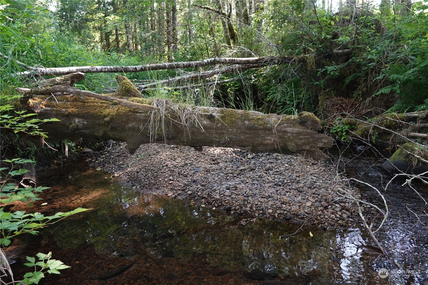 1068 Salmon Creek Road Mossyrock, WA 98564 - Photo 28 of 37 a view of a backyard
