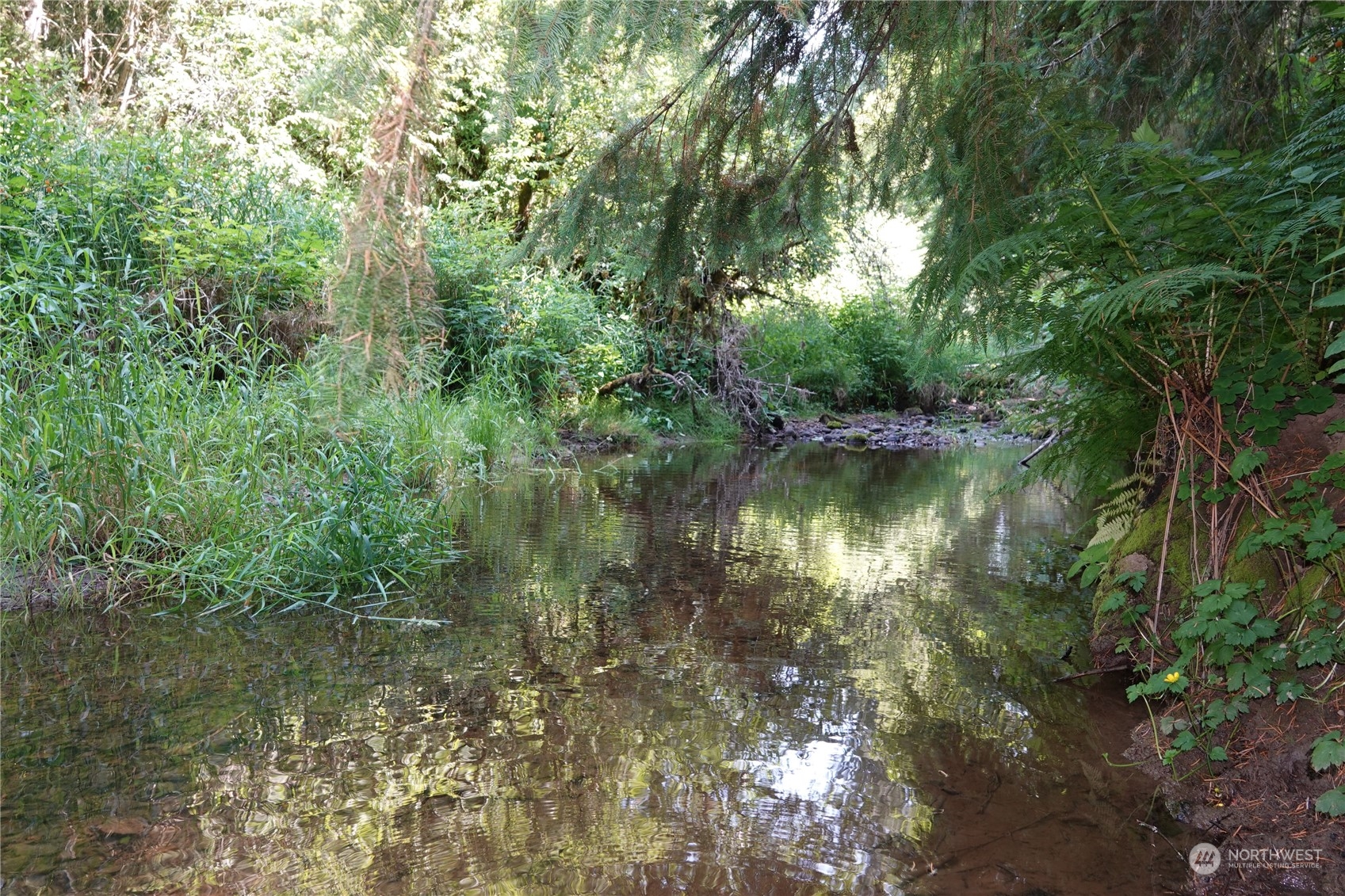 1068 Salmon Creek Road Mossyrock, WA 98564 - Photo 30 of 37