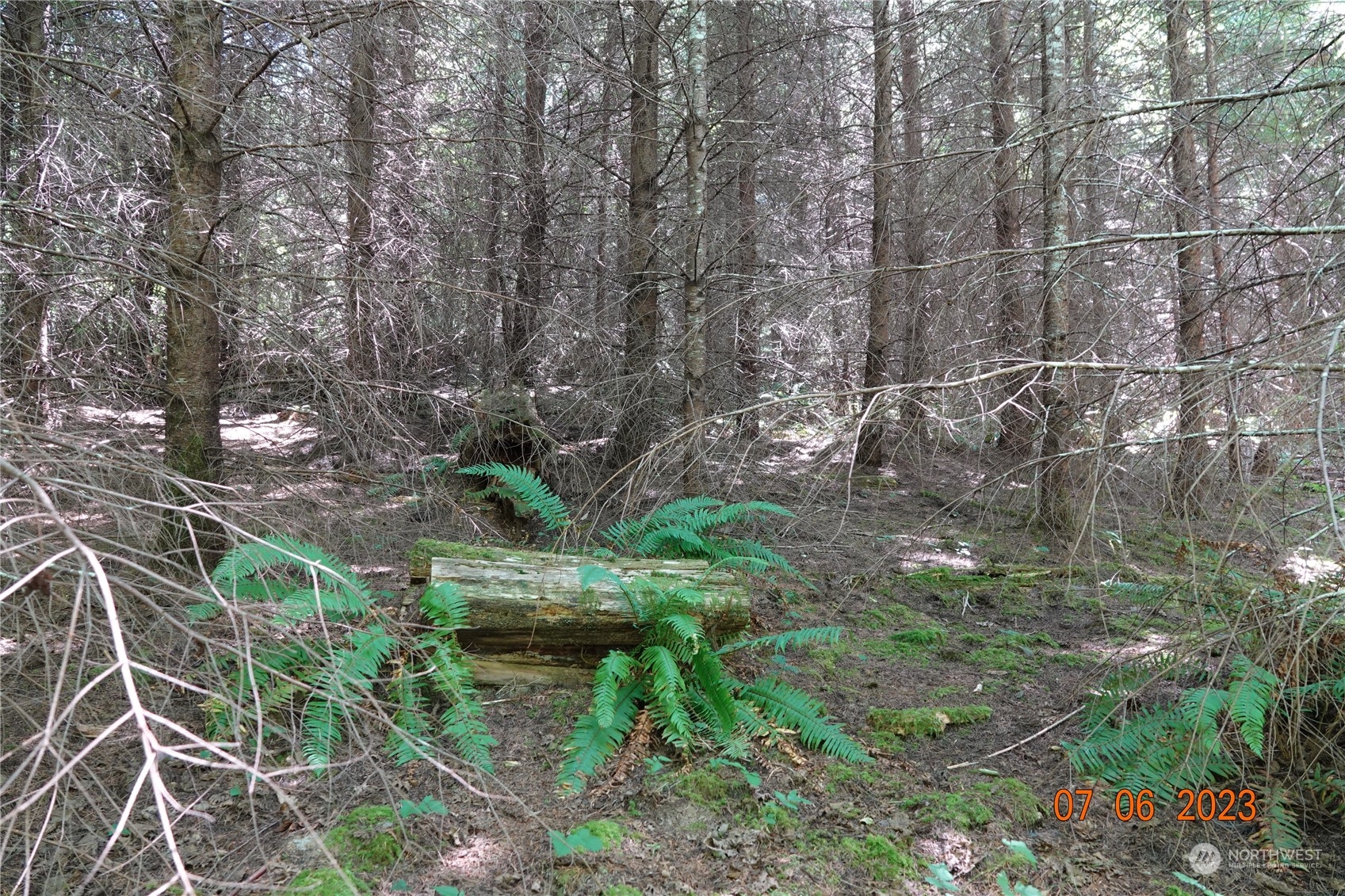1068 Salmon Creek Road Mossyrock, WA 98564 - Photo 33 of 37 a backyard of a house with lots of plants and trees