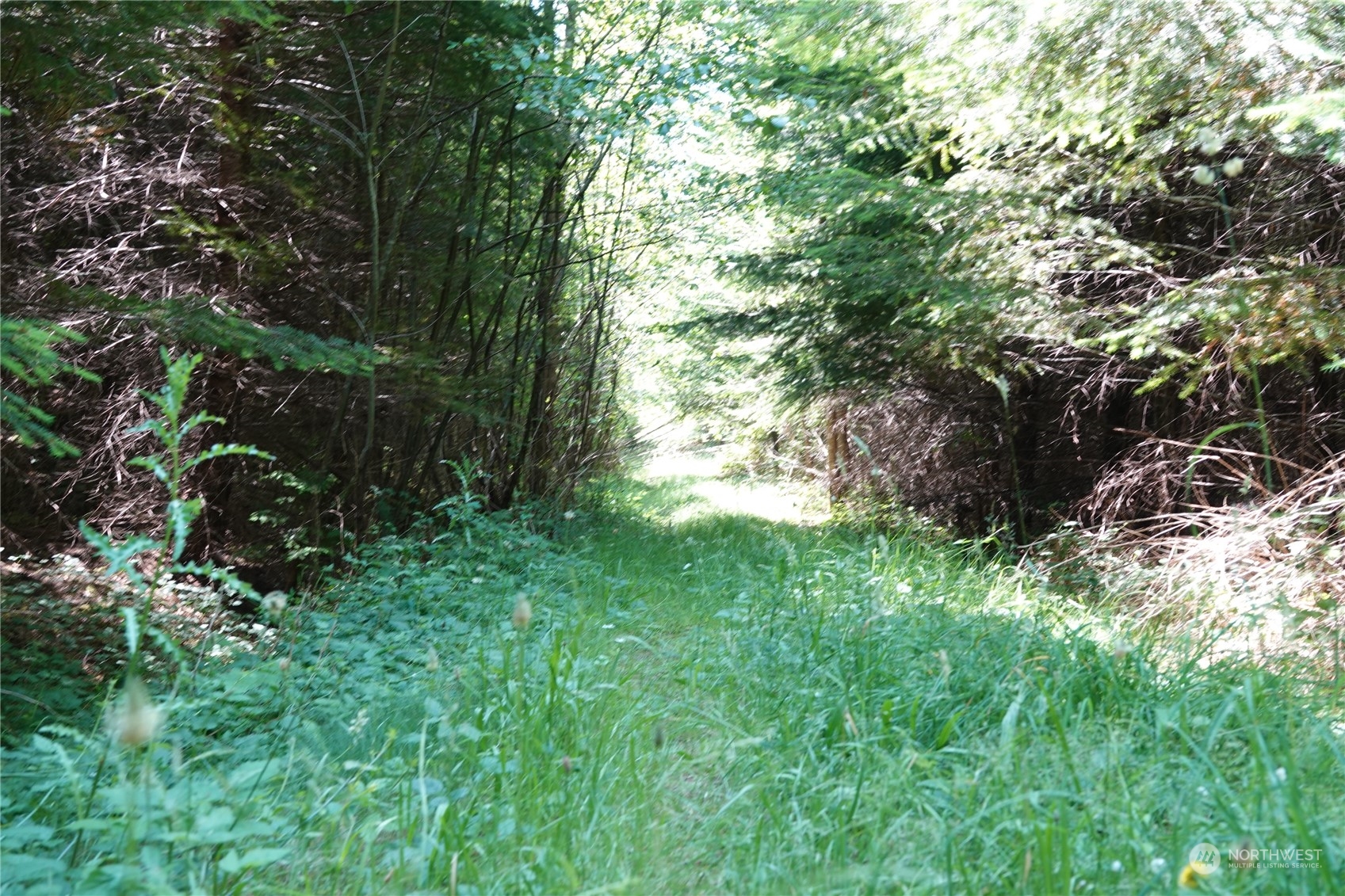 1068 Salmon Creek Road Mossyrock, WA 98564 - Photo 34 of 37 a backyard of a house with lots of green space and garden