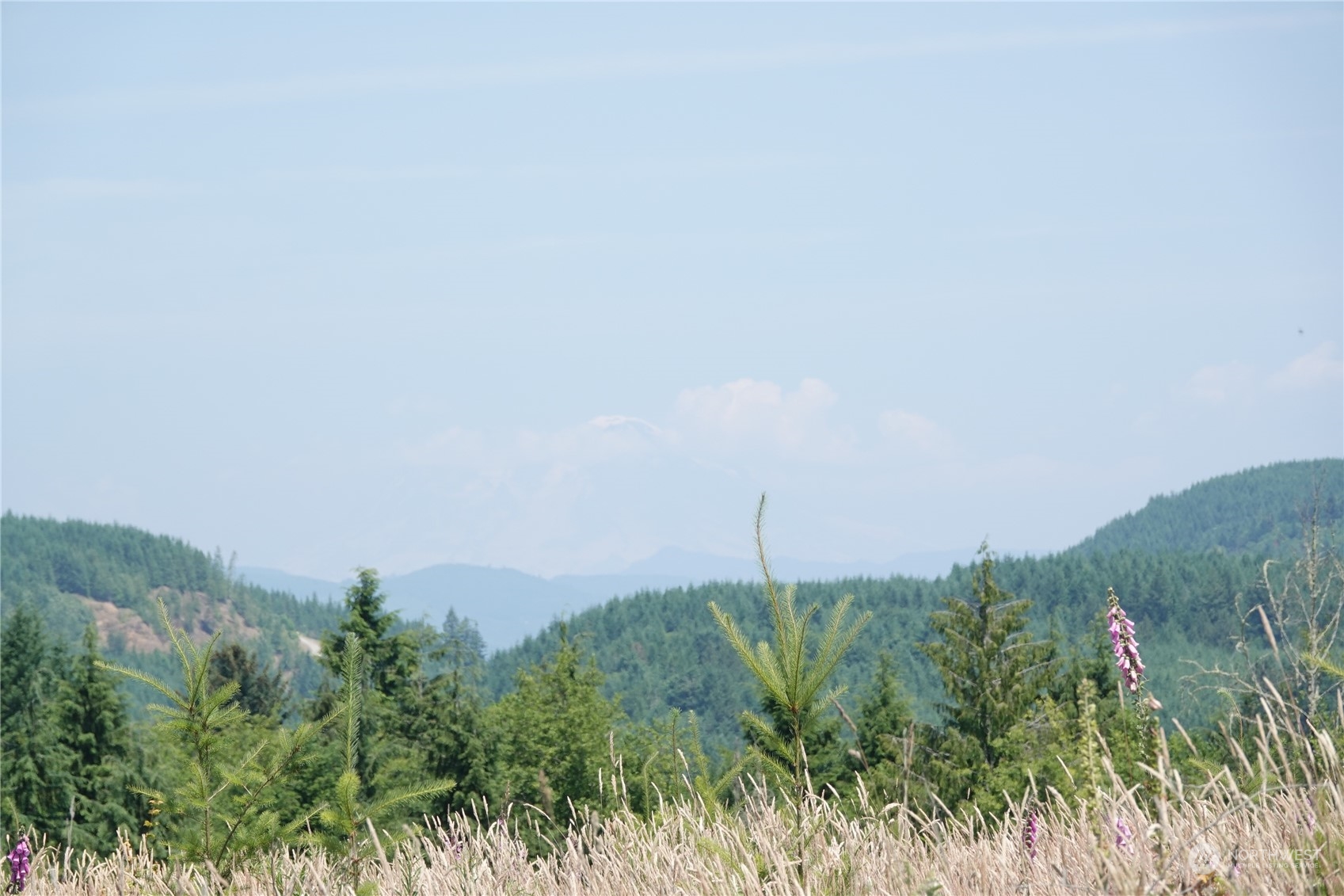 1068 Salmon Creek Road Mossyrock, WA 98564 - Photo 36 of 37 a view of a backyard