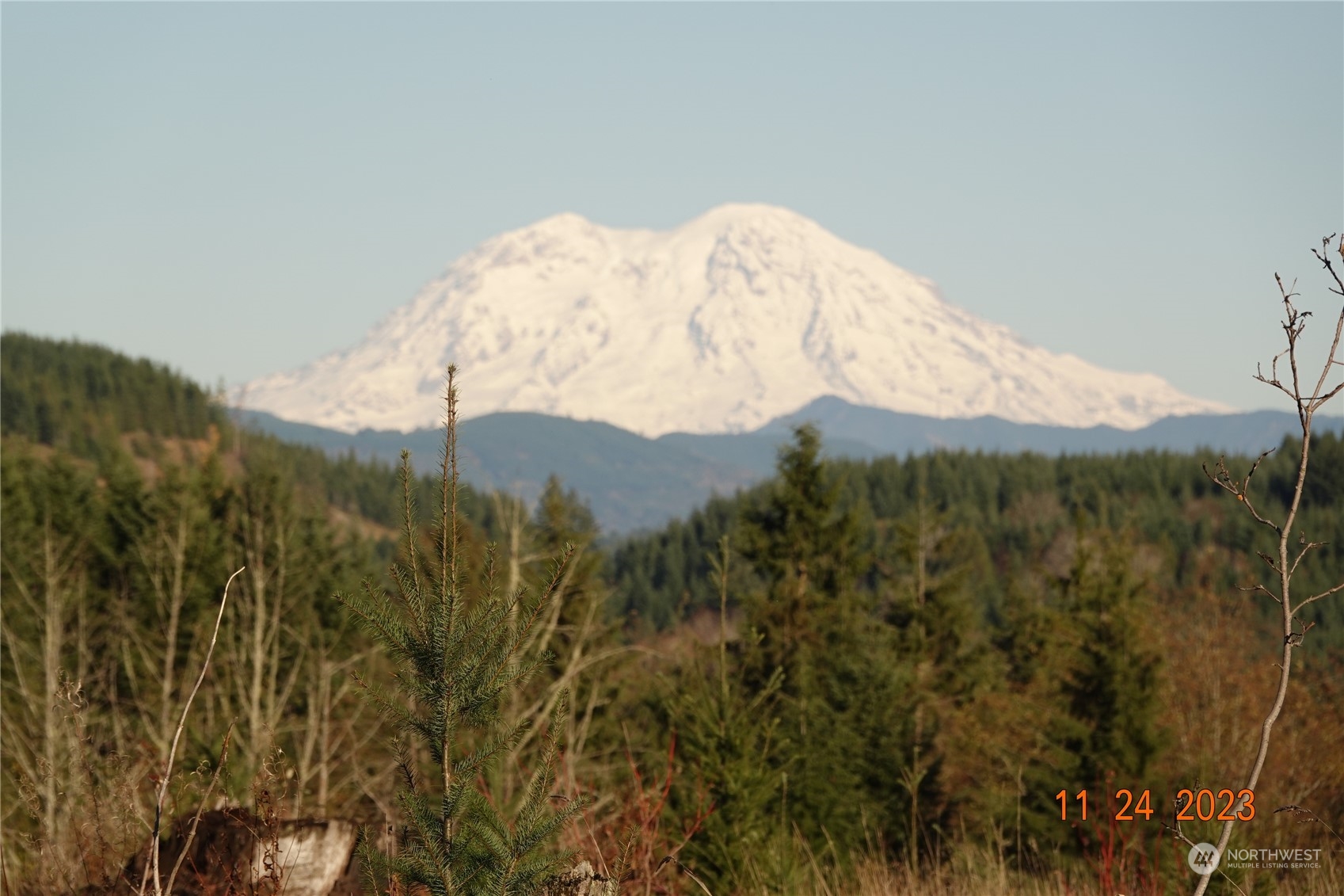 1068 Salmon Creek Road Mossyrock, WA 98564 - Photo 37 of 37 a view of a dry yard with mountains in the background