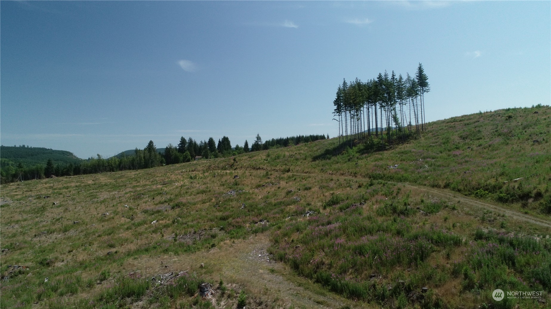 1068 Salmon Creek Road Mossyrock, WA 98564 - Photo 4 of 37 a view of a field with a house in background