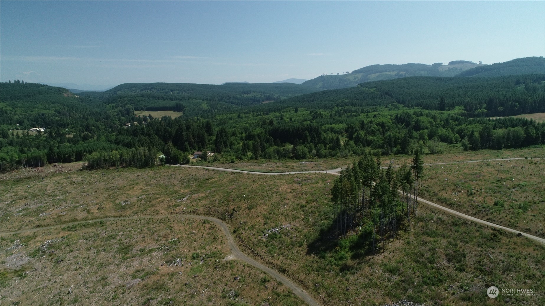 1068 Salmon Creek Road Mossyrock, WA 98564 - Photo 5 of 37 a view of a town with mountains