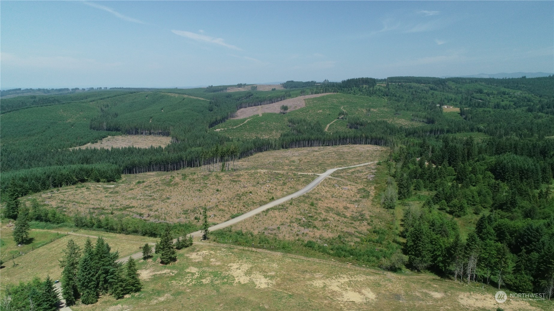 1068 Salmon Creek Road Mossyrock, WA 98564 - Photo 6 of 37 a view of a backyard
