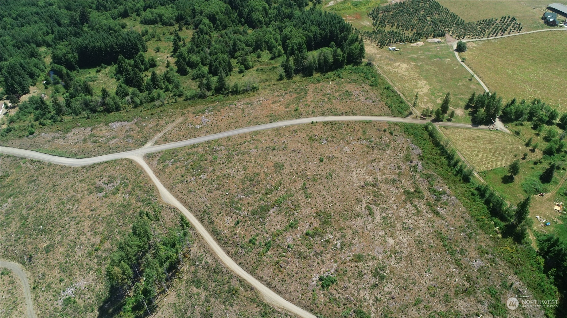 1068 Salmon Creek Road Mossyrock, WA 98564 - Photo 10 of 37 a view of a backyard