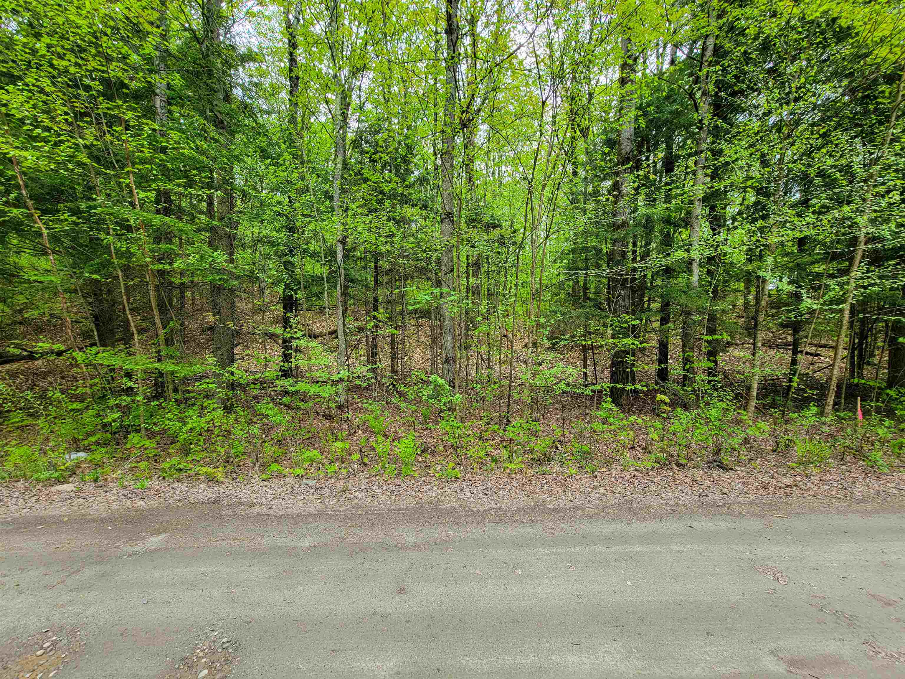 660 Brookview Lane Wolcott, VT 05680 - Photo 10 of 60