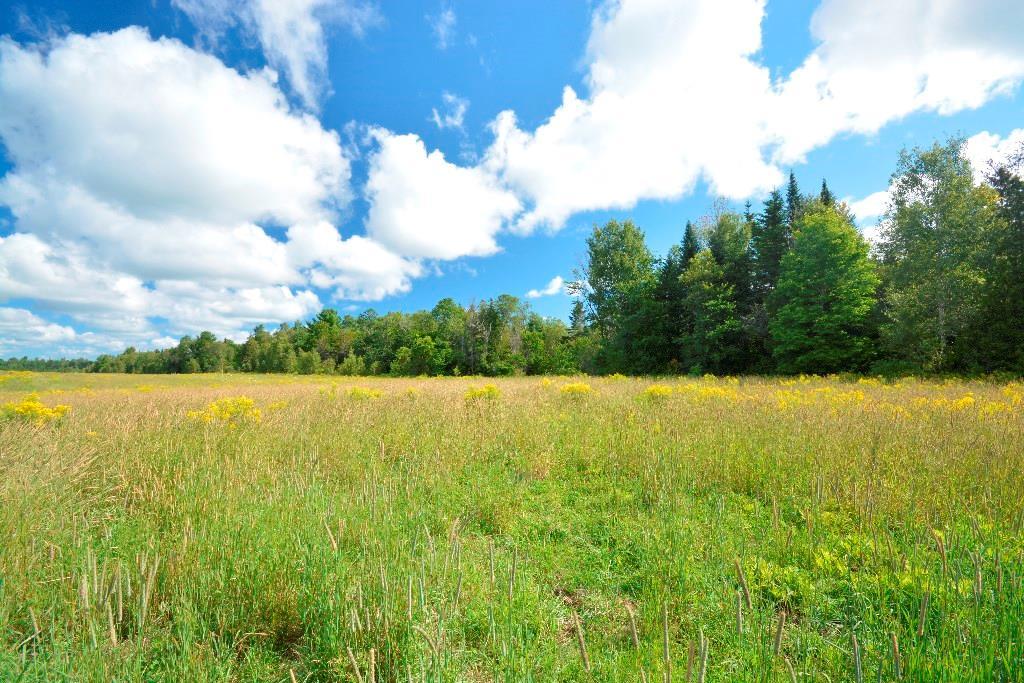 Map 4-lot Map 4-lot Town Line Road Springfield, ME 04487 - Photo 5 of 14 Photo