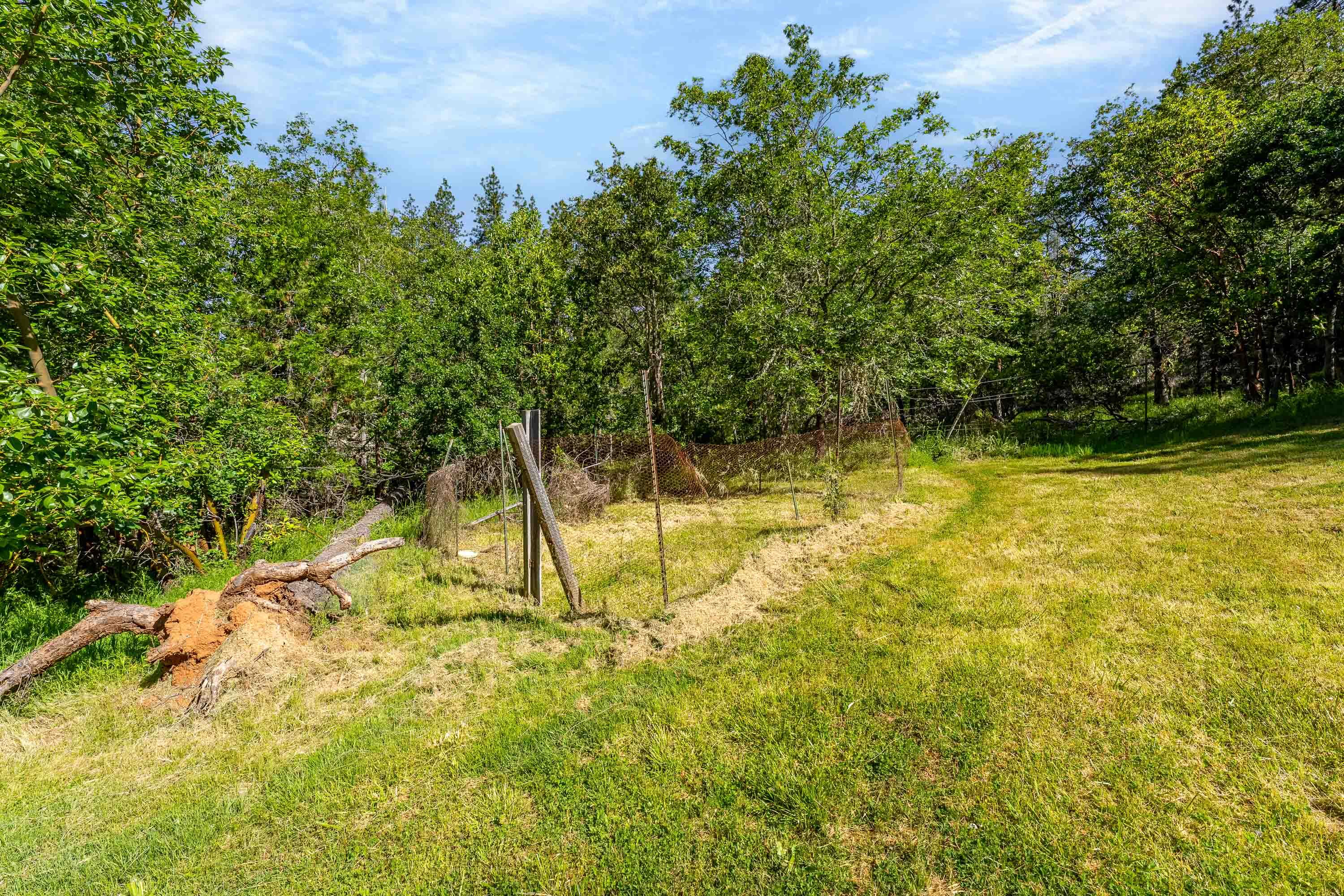 905 Summit Loop Grants Pass, OR 97527 - Photo 30 of 43 Backyard