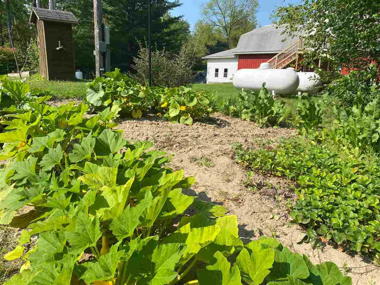 4841 Forest Road Harrison, MI 48625 - Photo 25 of 54