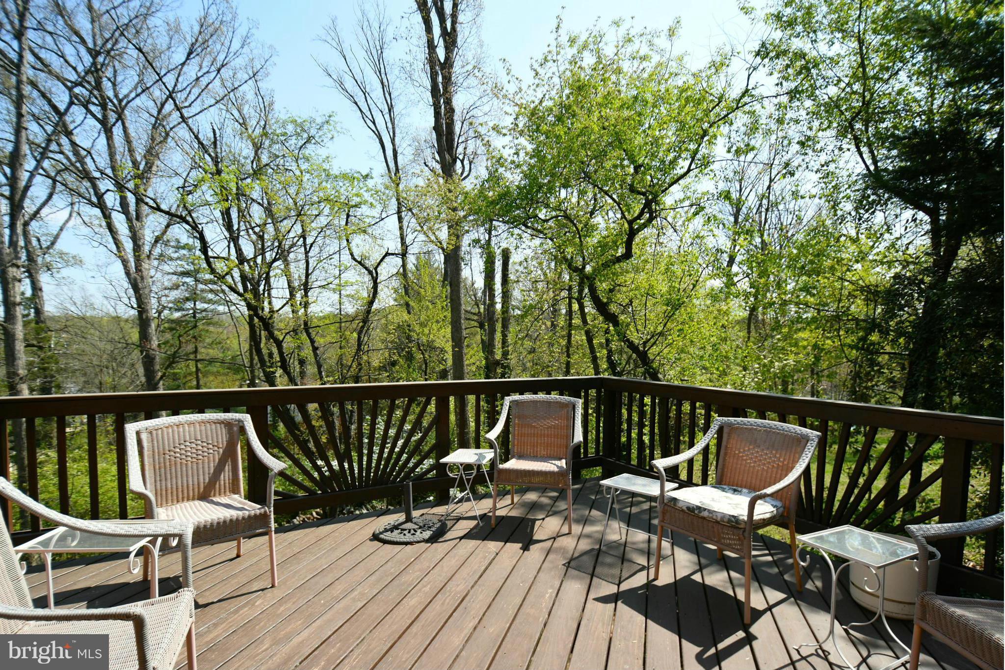 3501 Woodside Road Alexandria, VA 22310 - Photo 28 of 30 Exterior (Rear)