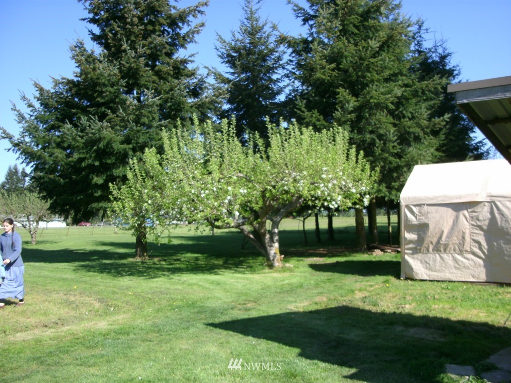 267 Woodard Road Napavine, WA 98532 - Photo 5 of 15