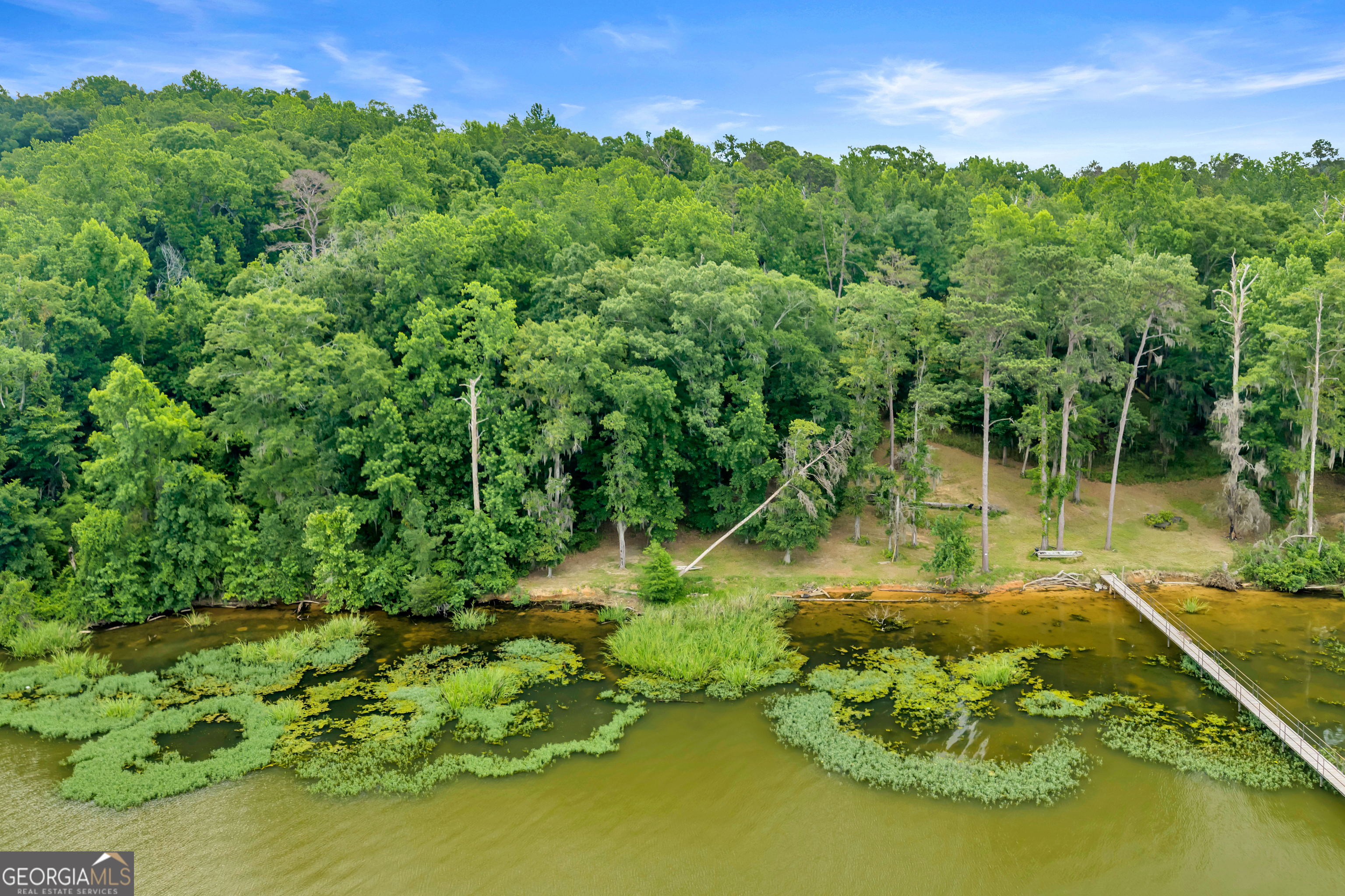 473 Vining Branch Road Georgetown, GA 39854 - Photo 8 of 43 an aerial view of a house with a yard