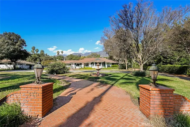 a view of a park with large trees