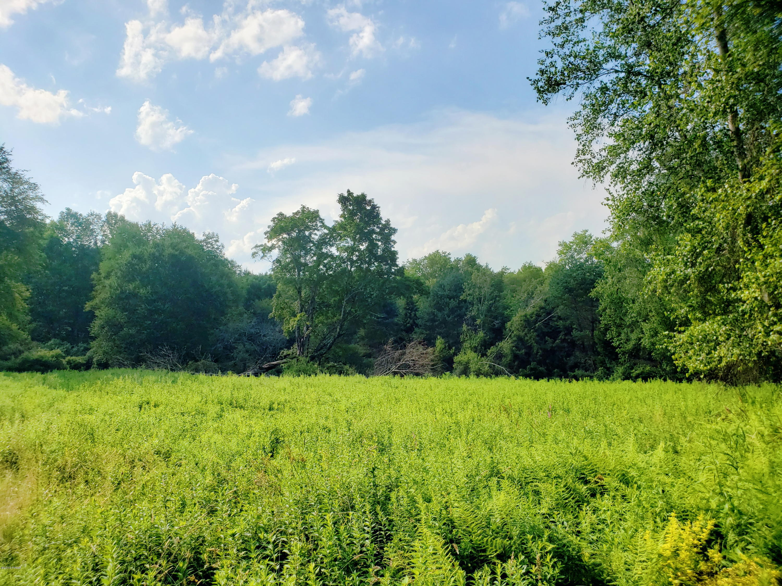 Burr Road Cochecton, NY 12726 - Photo 5 of 6
