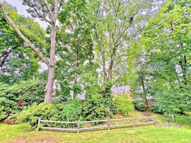 a view of a garden with an outdoor space