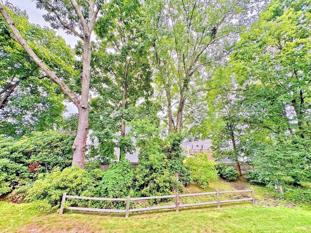 7 Washington Green, Unit 7 Walpole, MA 02032 - Photo 21 of 23 a view of a garden with an outdoor space