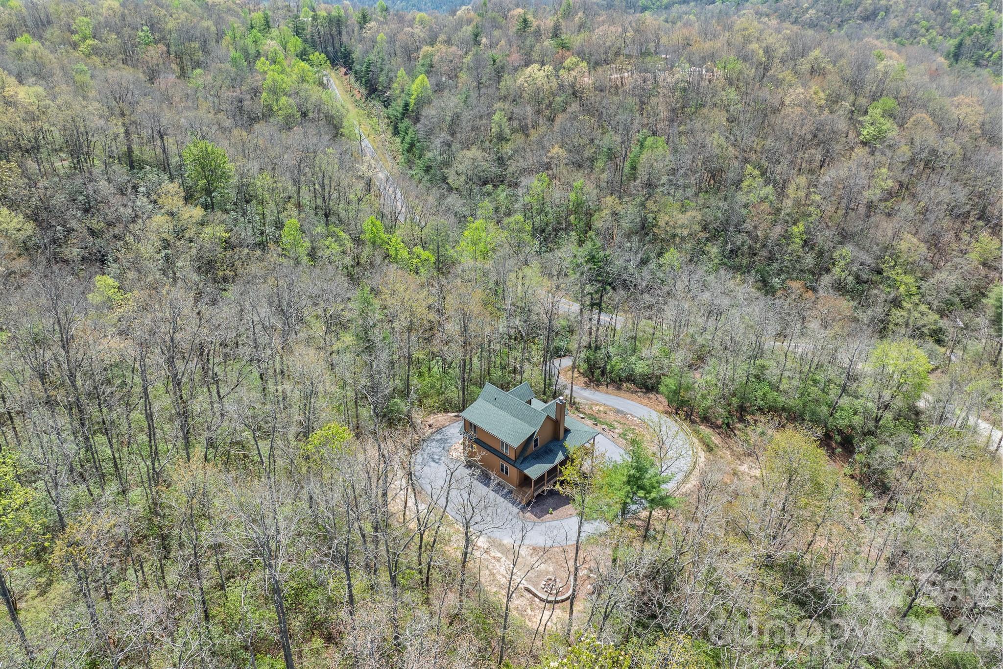 3171 East Fork Road Brevard, NC 28712 - Photo 10 of 48