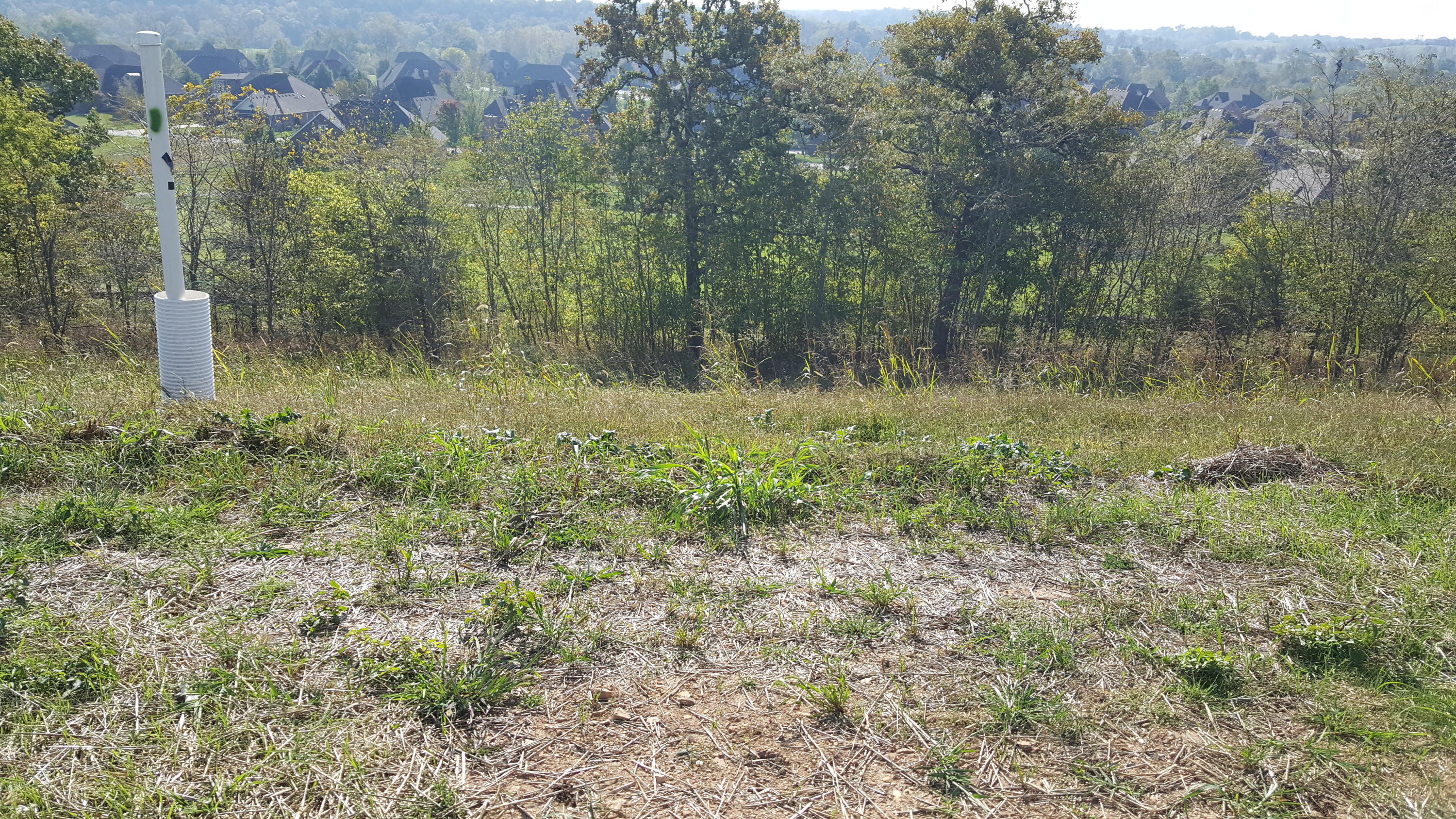 Lot 4 Lot Springfield, MO 65810 - Photo 1 of 1 60079559-20171014_103417