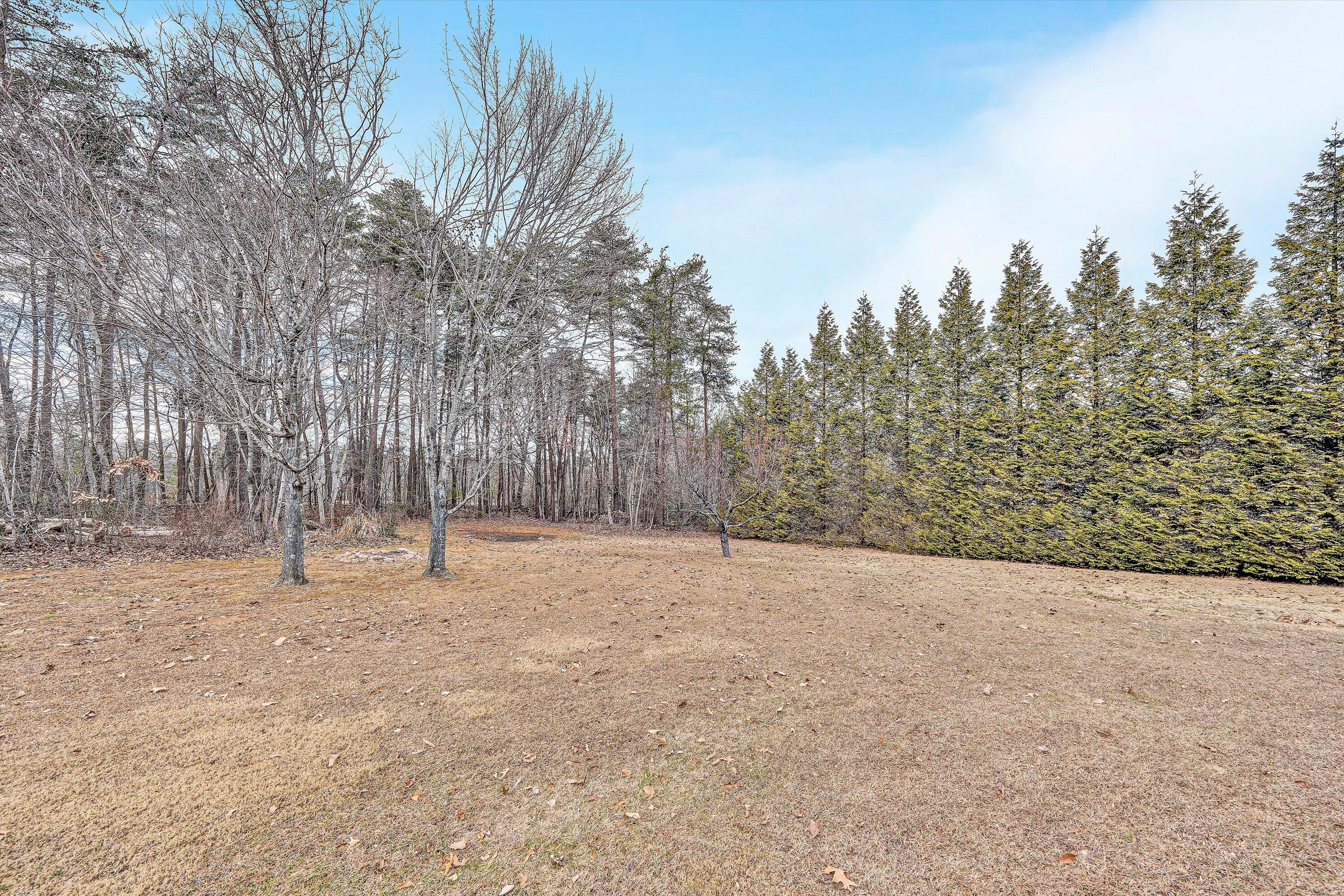 460 Stonybrook Road Wirtz, VA 24184 - Photo 39 of 44 a backyard of a house with trees