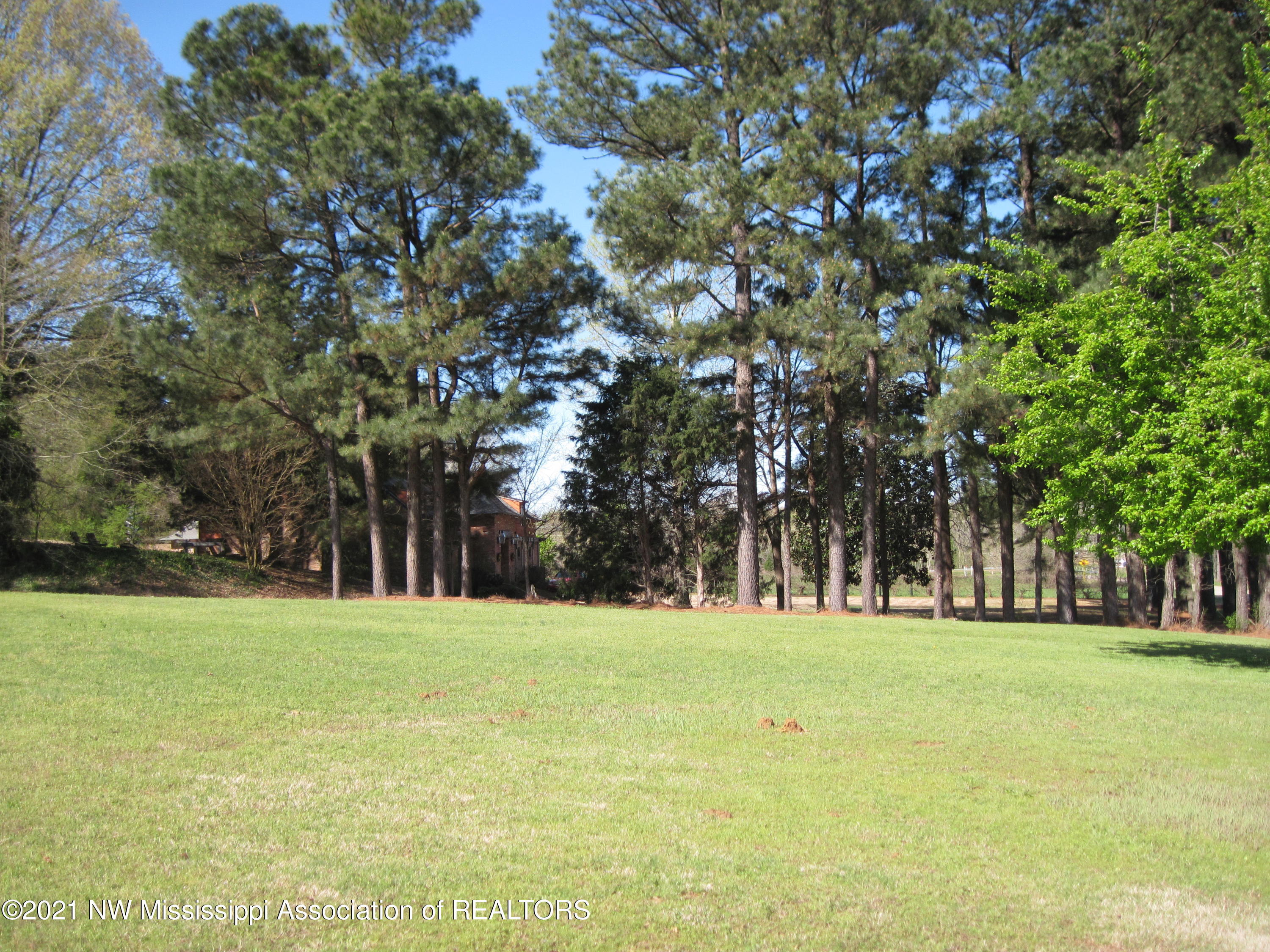 5155 Nail Road Olive Branch, MS 38654 - Photo 6 of 42 IMG_5538
