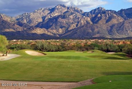 2116 East Ruellia Drive Tucson, AZ 85755 - Photo 41 of 42