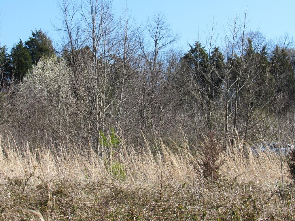 Lot 6 Rock Springs Road, Unit 6 Kingsport, TN 37660 - Photo 2 of 2 Photo 2