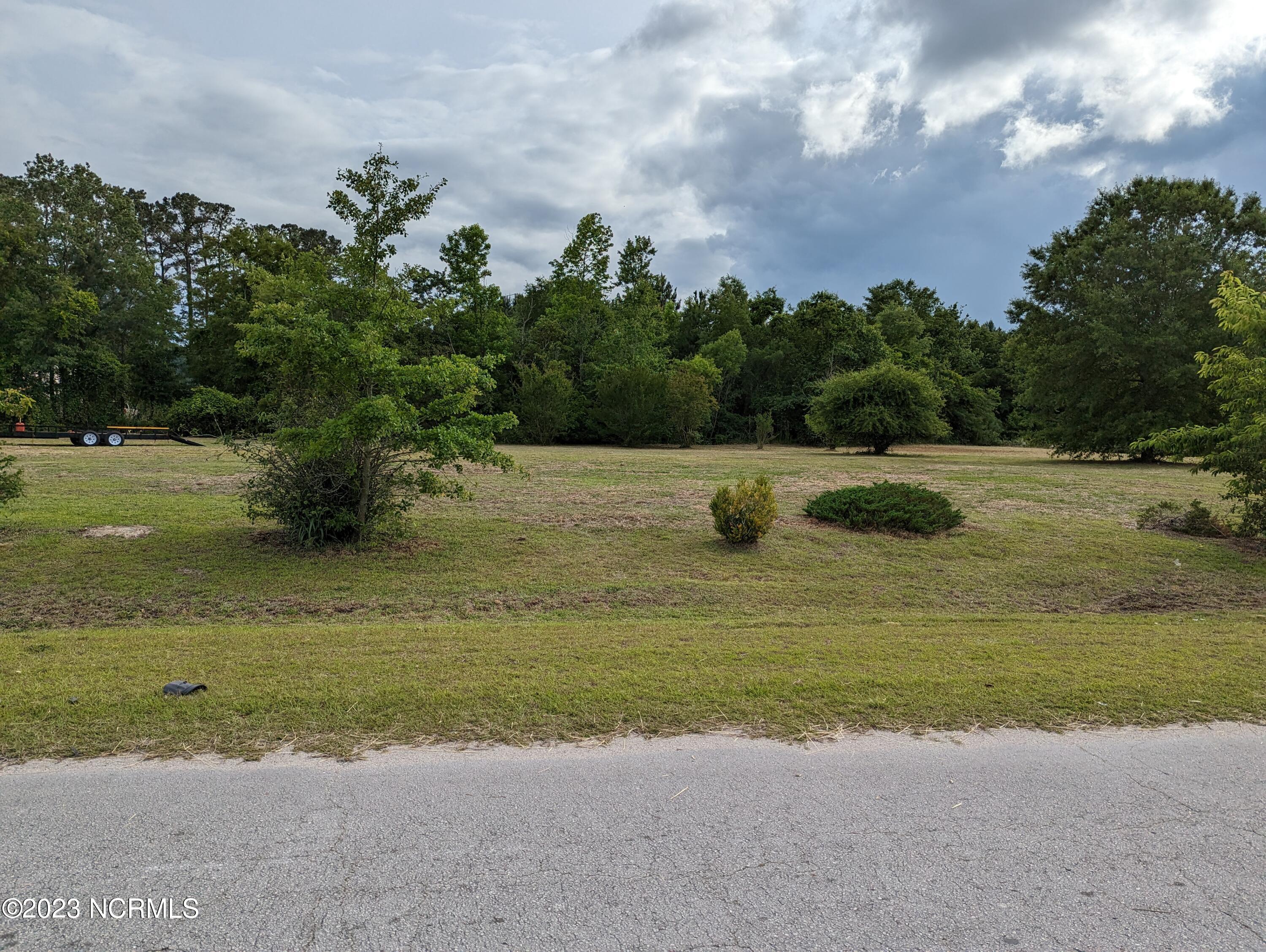 4045 Brandon Road Grifton, NC 28530 - Photo 8 of 11 PXL_20230601_220018669