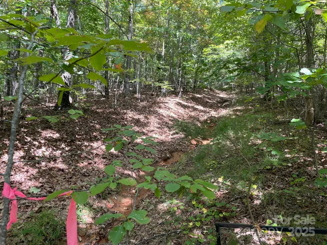 a backyard of a house with lots of trees