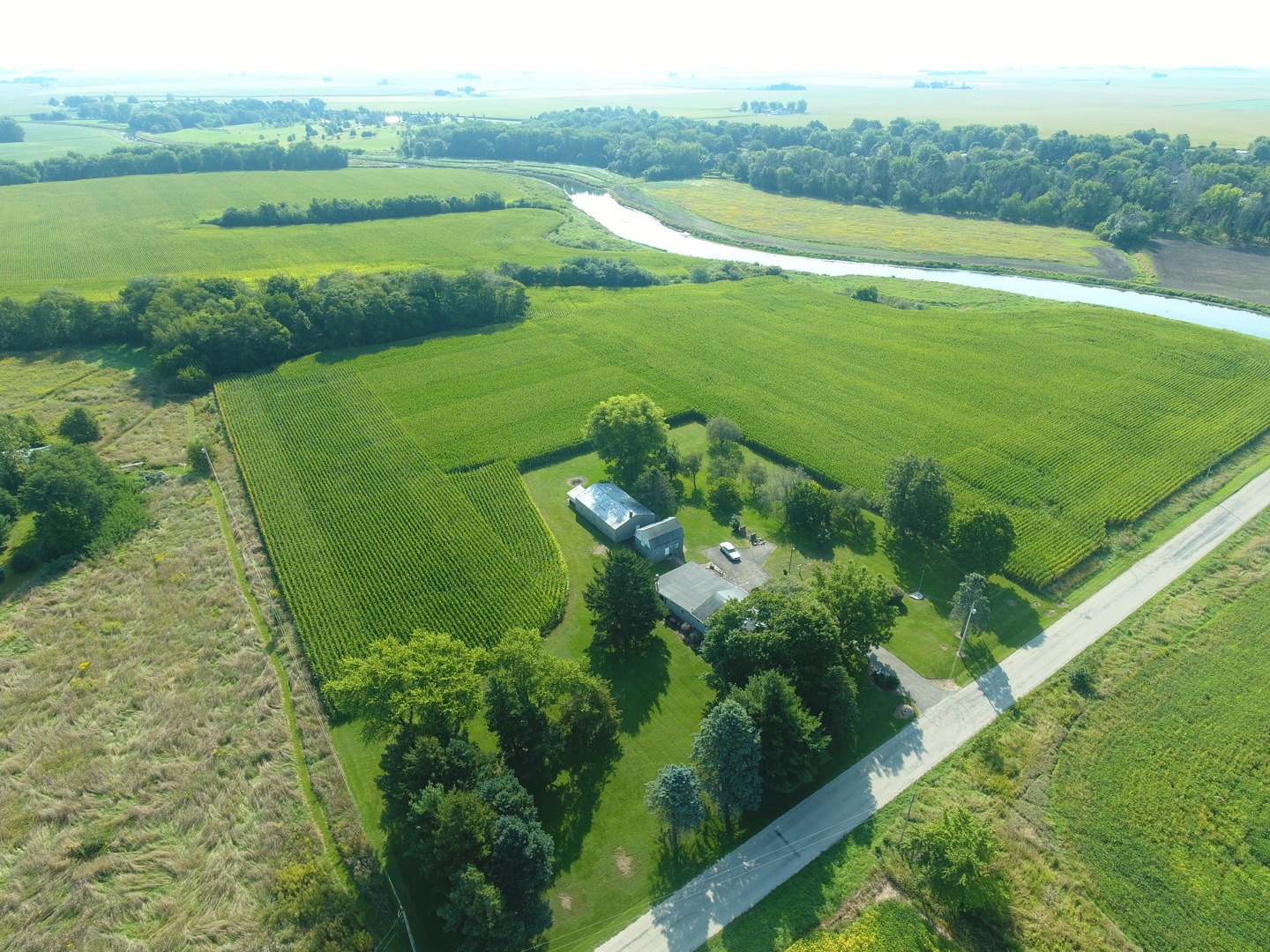 12454 Cracker Road Farmer City, IL 61842 - Photo 5 of 23 a view of a lush green field with plants and large trees
