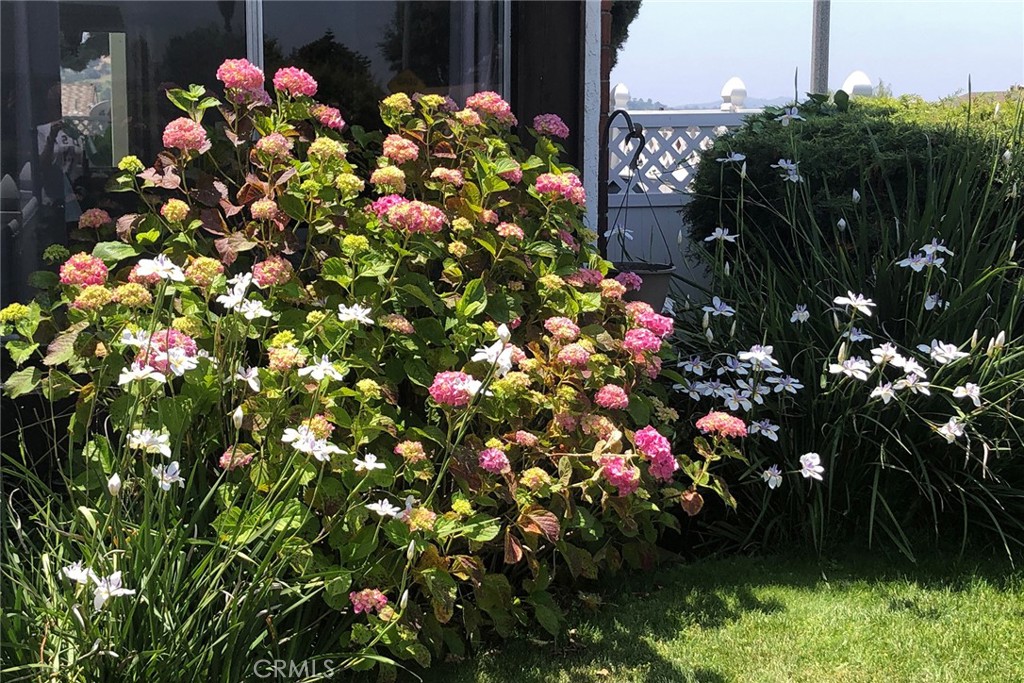 23302 Wagon Trail Road Diamond Bar, CA 91765 - Photo 9 of 50