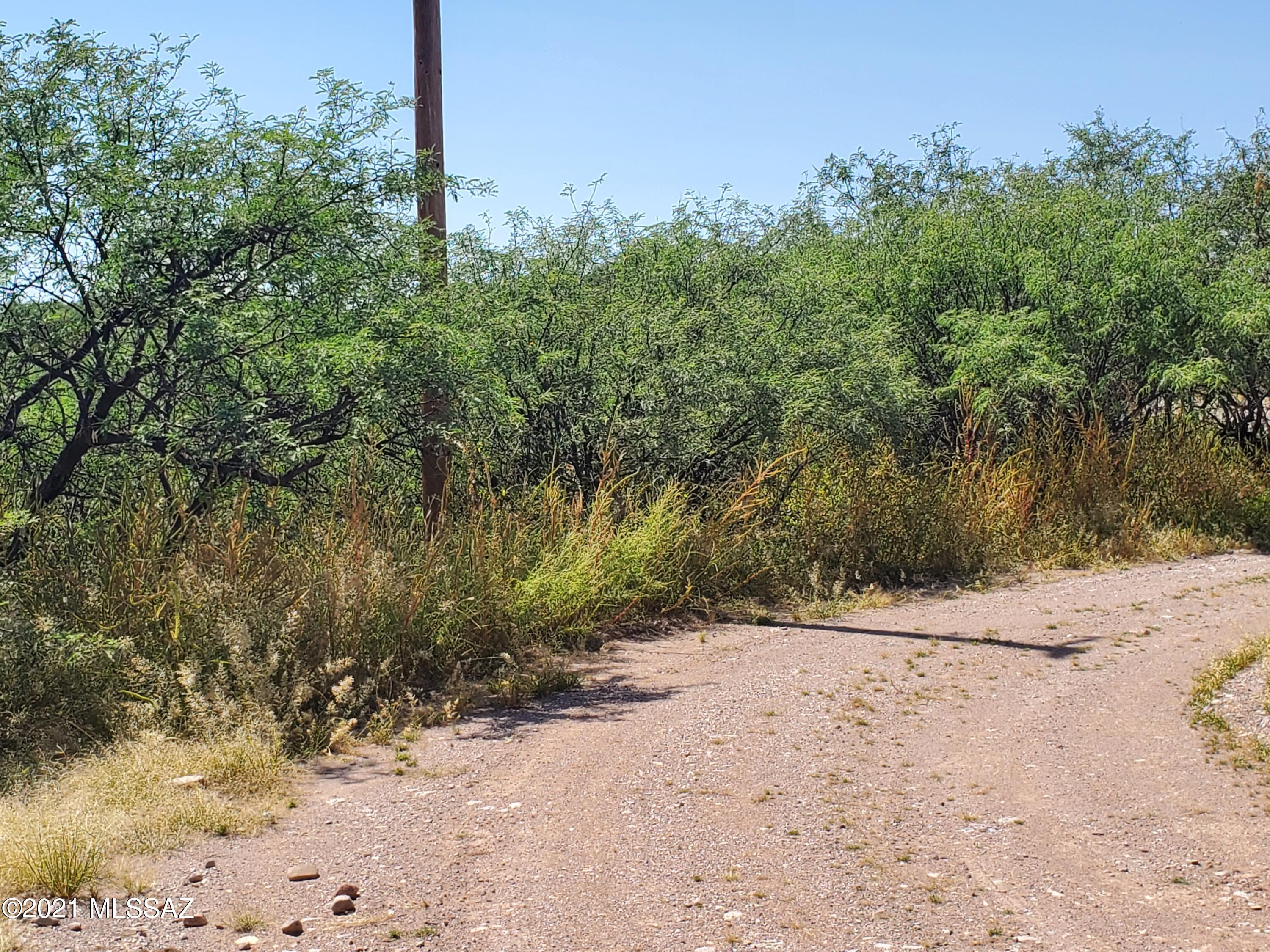 595 Mulberry Corte, Unit 64 Rio Rico, AZ 85648 - Photo 4 of 8