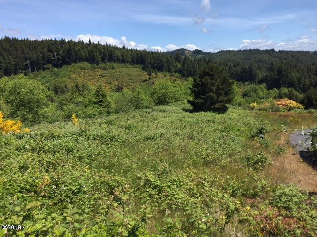 Lot16 Northeast Spring Avenue Depoe Bay, OR 97341 - Photo 12 of 31 Looking east