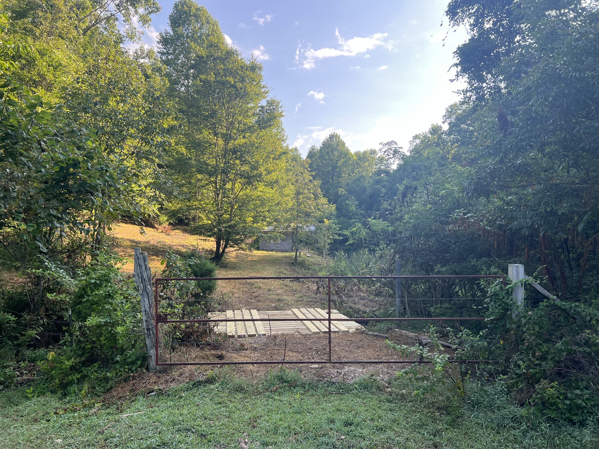 0 Williams Hollow Road Westpoint, TN 38486 - Photo 12 of 27 a view of yard