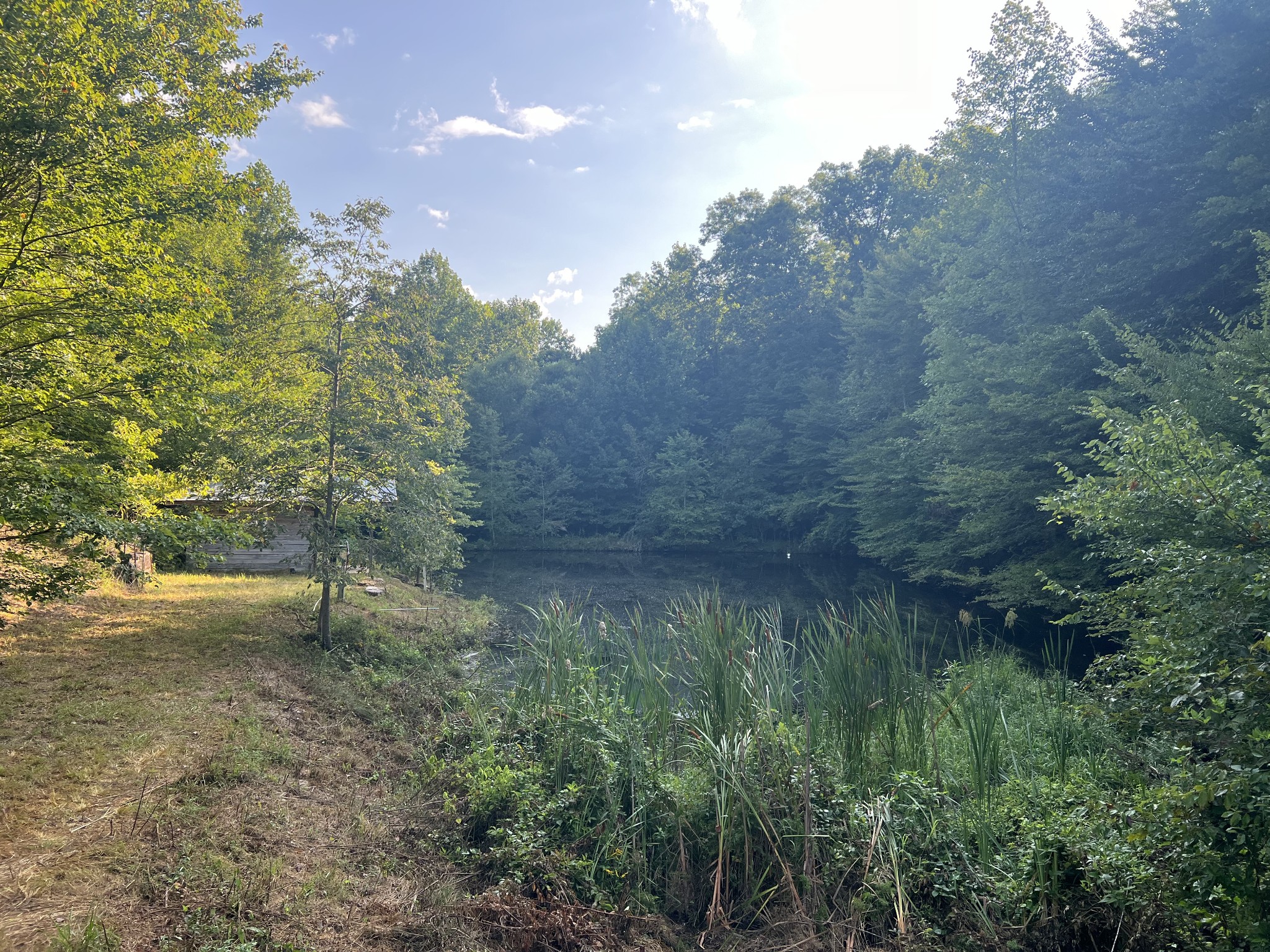 0 Williams Hollow Road Westpoint, TN 38486 - Photo 13 of 27 a backyard of a house with lots of green space and mountain view