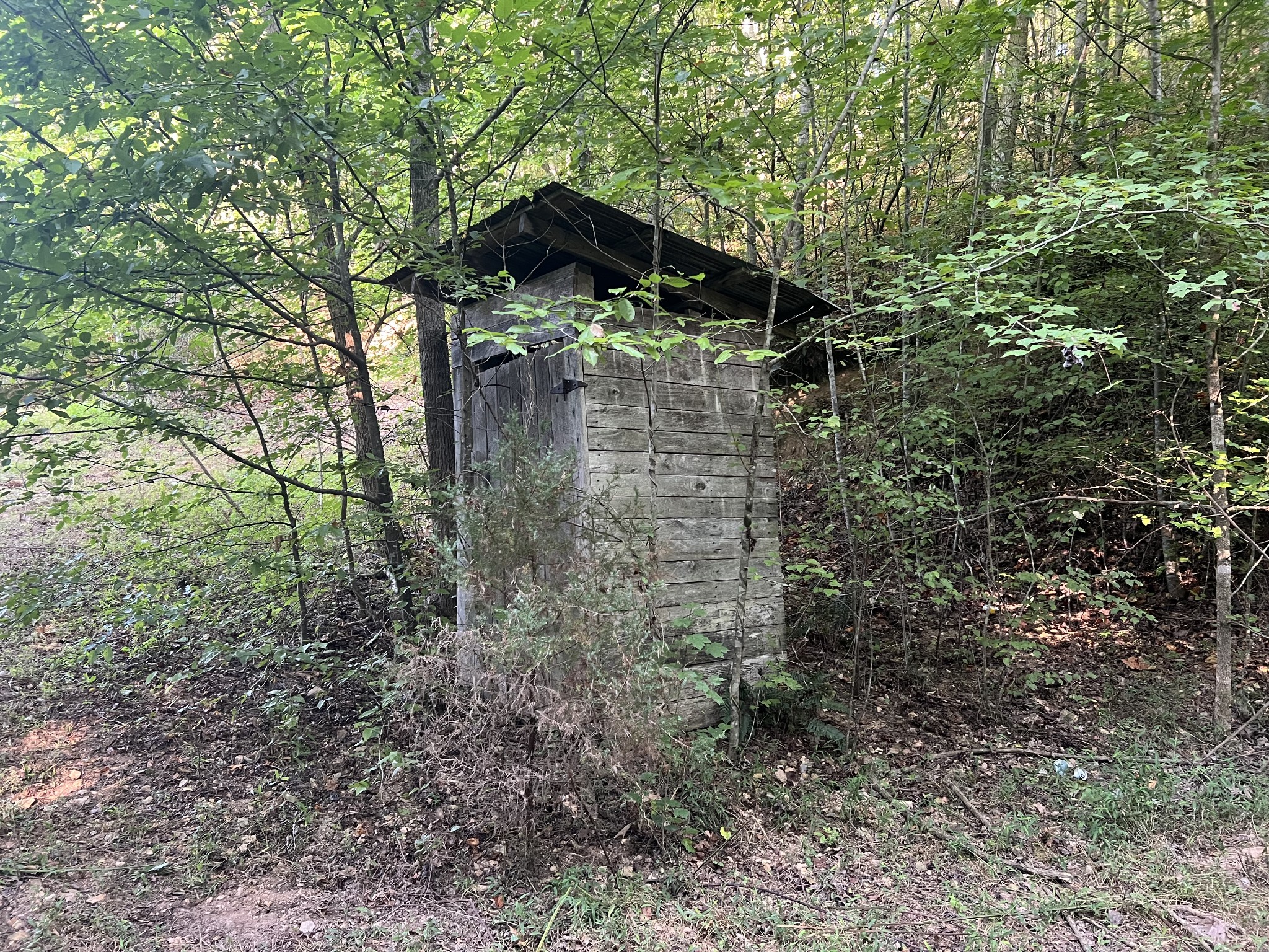 0 Williams Hollow Road Westpoint, TN 38486 - Photo 16 of 27 a view of a pathway of a forest