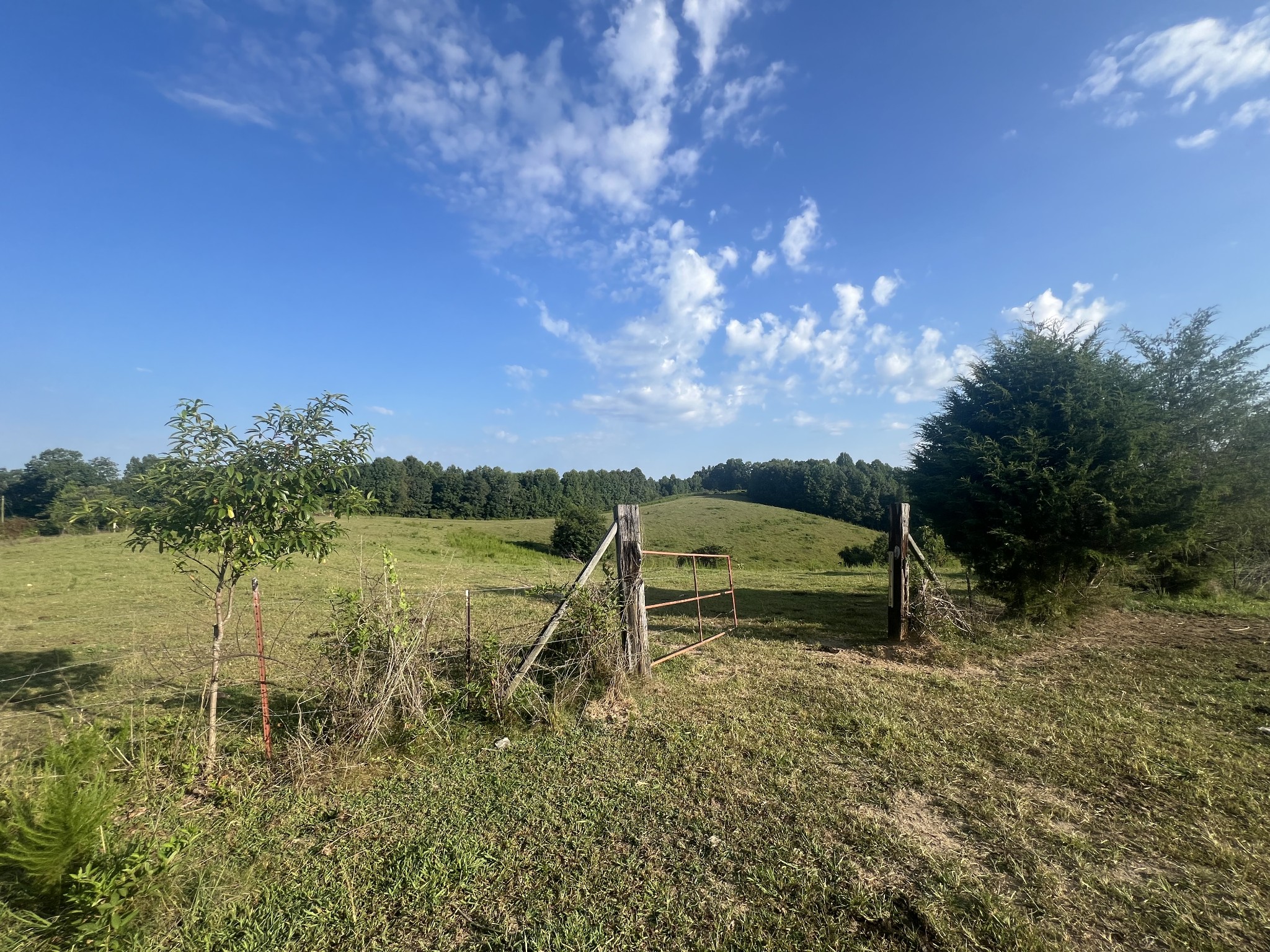 0 Williams Hollow Road Westpoint, TN 38486 - Photo 2 of 27 a view of a lake with houses in the back