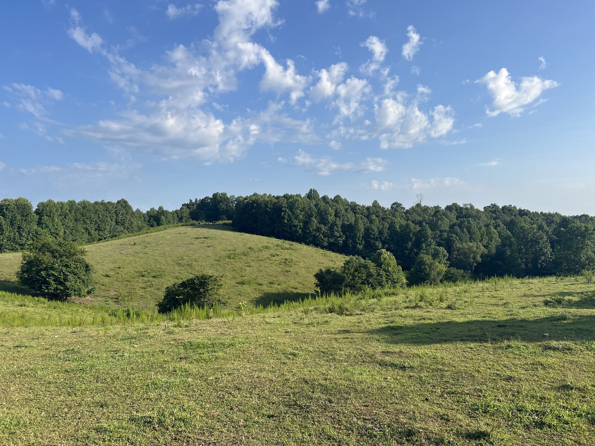 0 Williams Hollow Road Westpoint, TN 38486 - Photo 4 of 27 a view of a grassy area