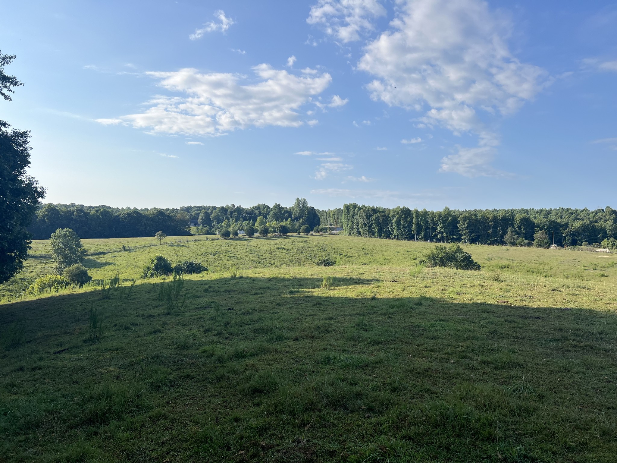 0 Williams Hollow Road Westpoint, TN 38486 - Photo 7 of 27 a view of a lake with a big yard