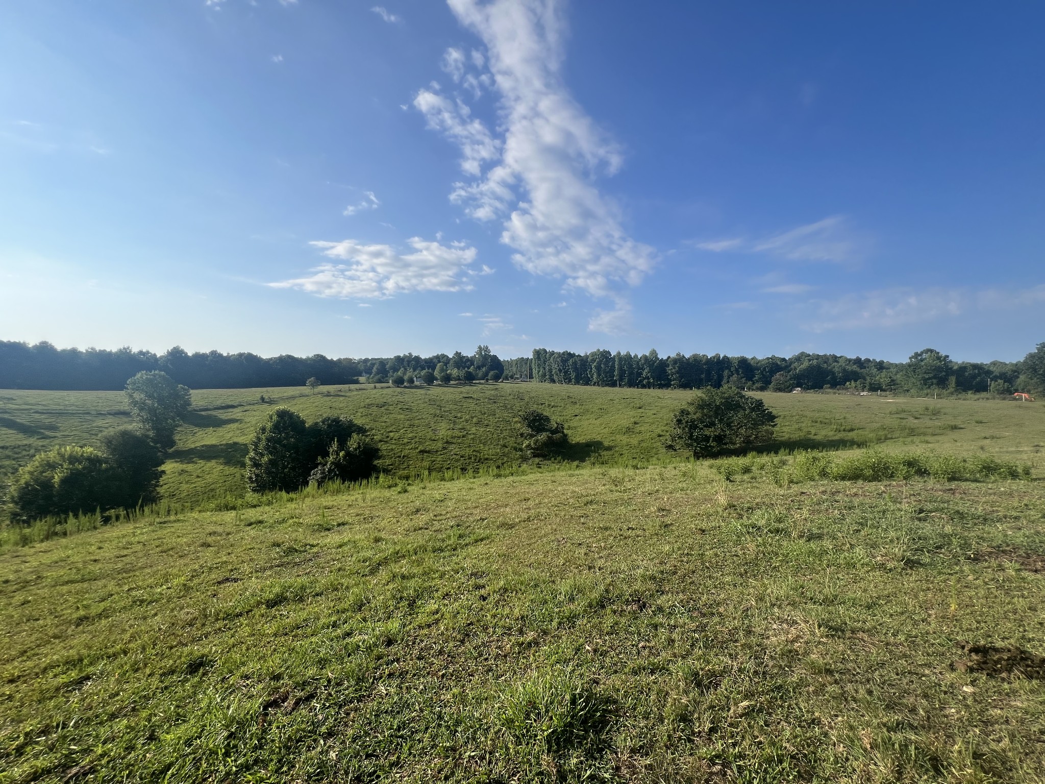 0 Williams Hollow Road Westpoint, TN 38486 - Photo 8 of 27 a view of a lake with houses in the background