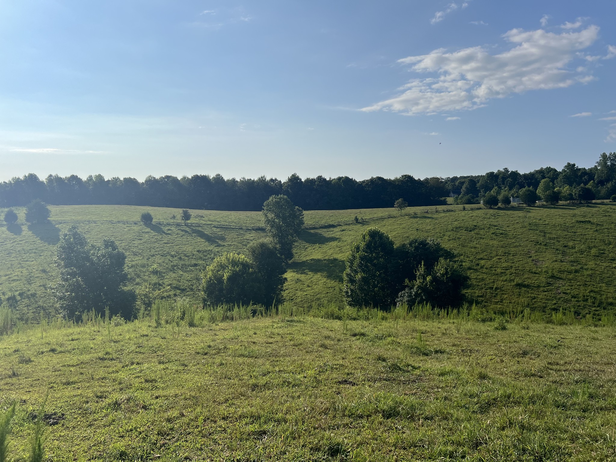 0 Williams Hollow Road Westpoint, TN 38486 - Photo 9 of 27