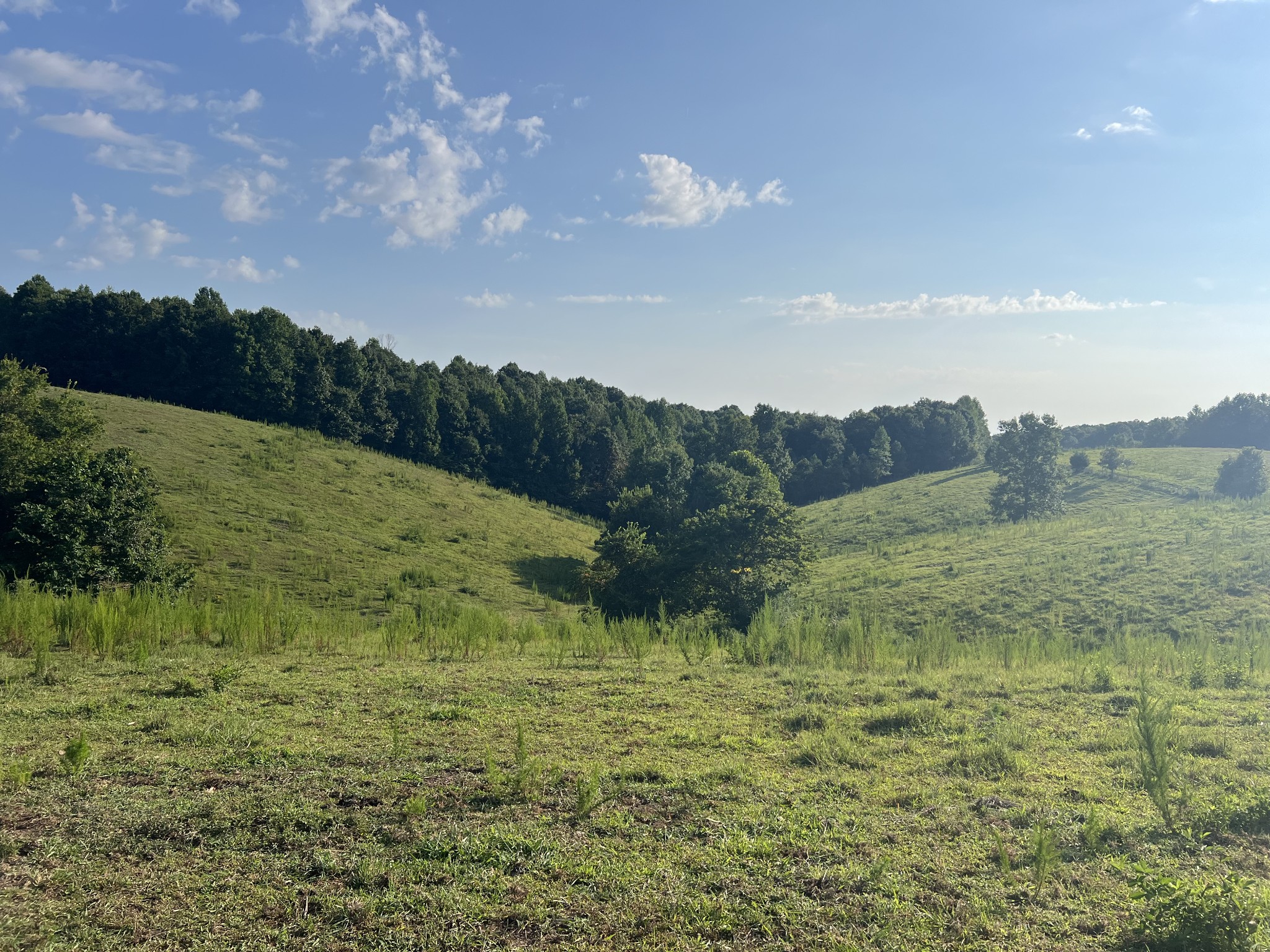 0 Williams Hollow Road Westpoint, TN 38486 - Photo 10 of 27 a view of a lake with mountains in the background