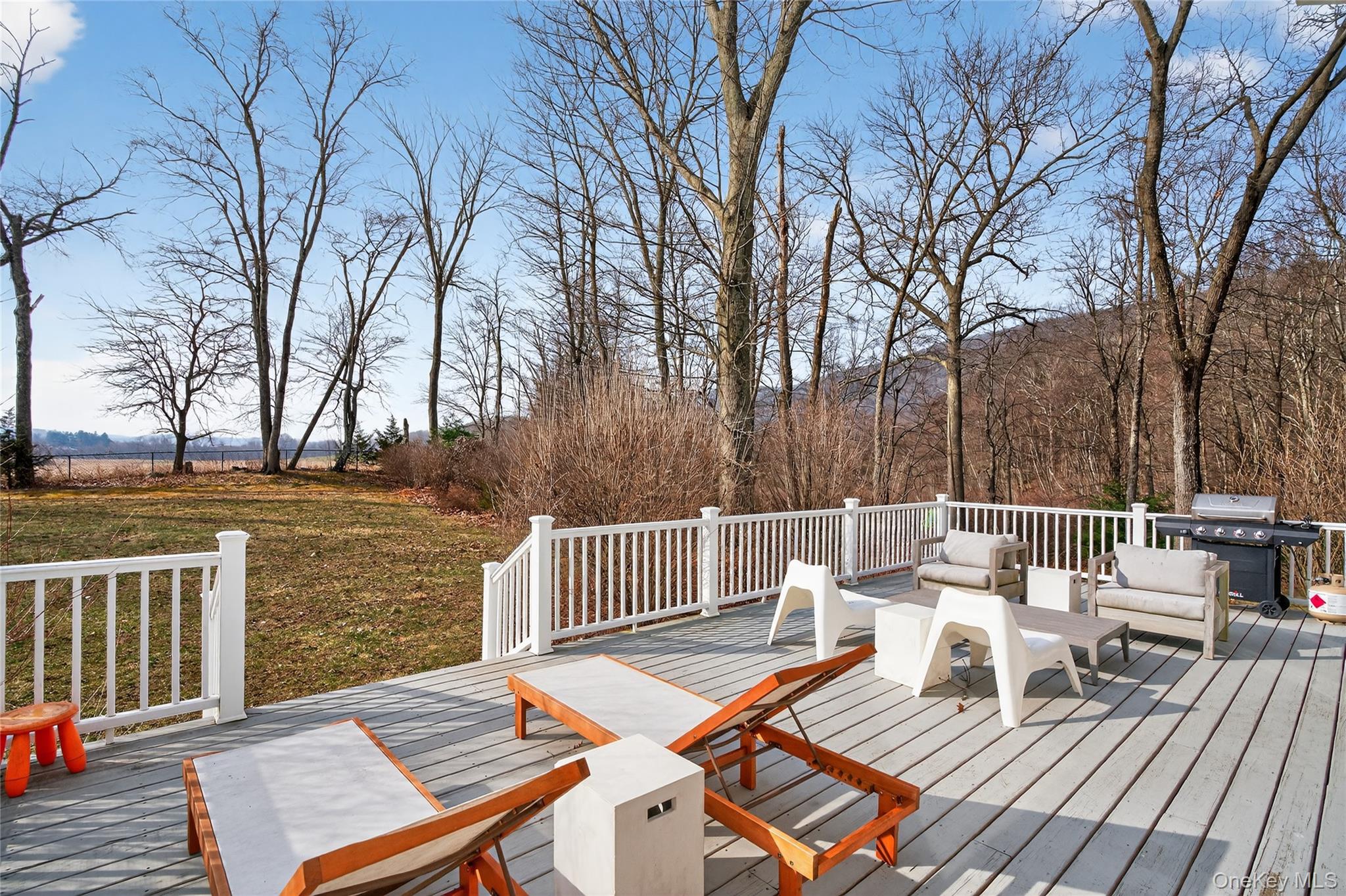 231 Lake Road Pine Plains, NY 12567 - Photo 22 of 28