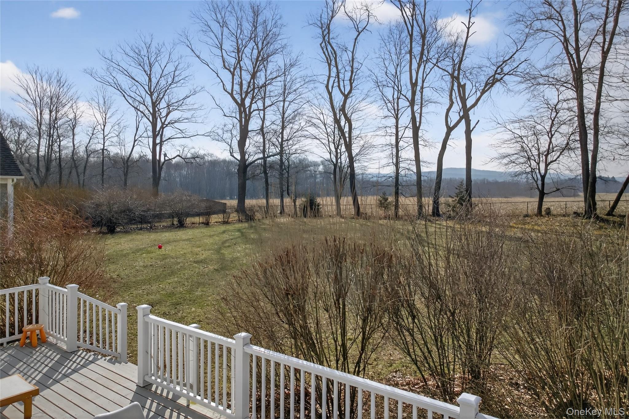 231 Lake Road Pine Plains, NY 12567 - Photo 24 of 28