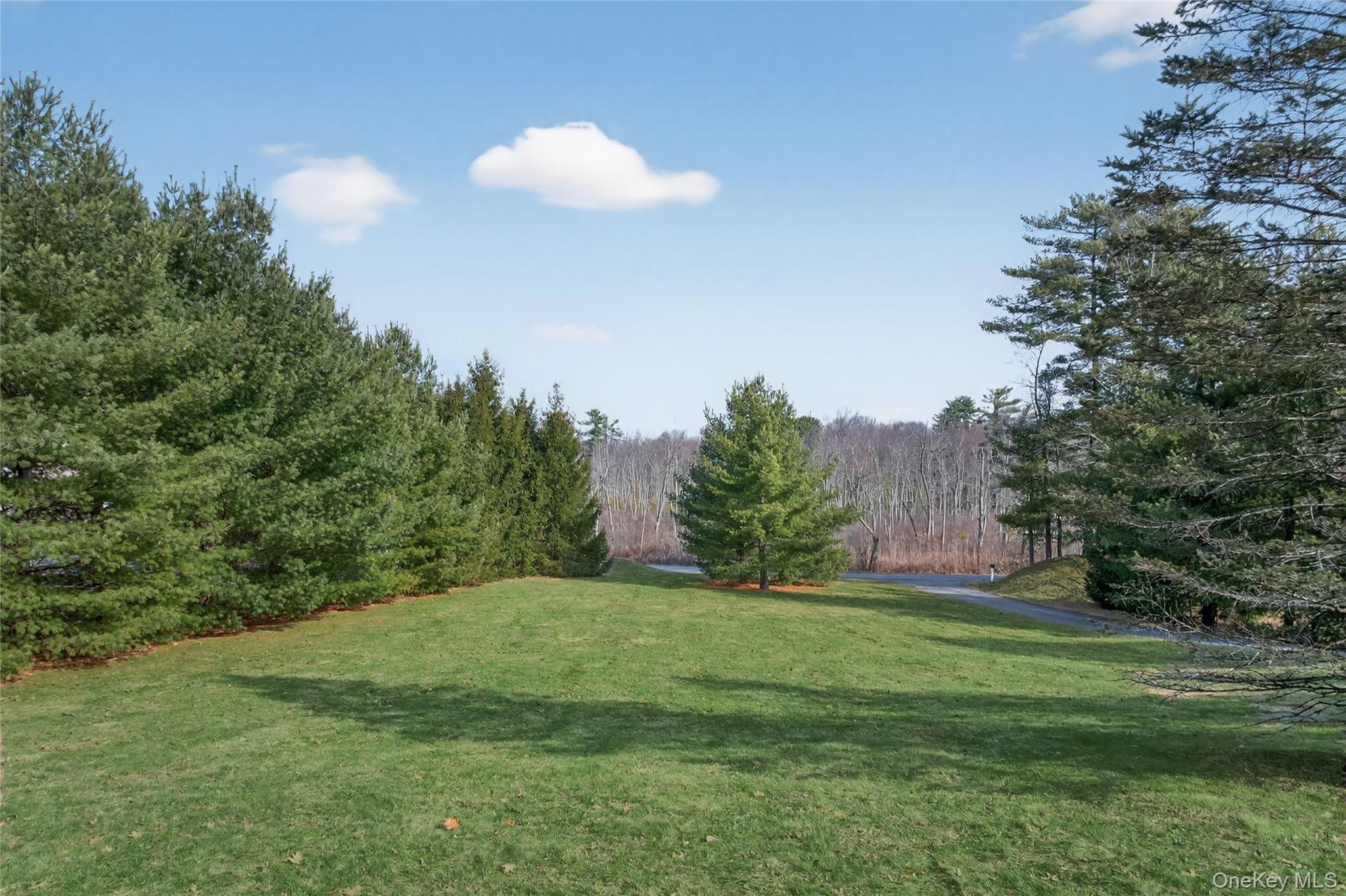 231 Lake Road Pine Plains, NY 12567 - Photo 26 of 28