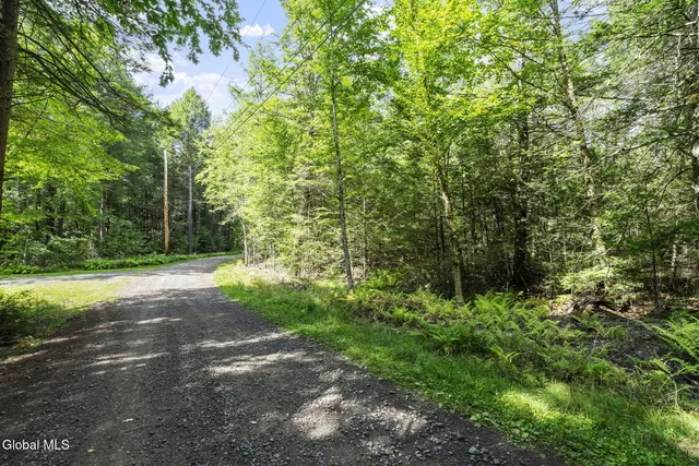 $79,900 | L32 Eds Road, Windham, NY 12496