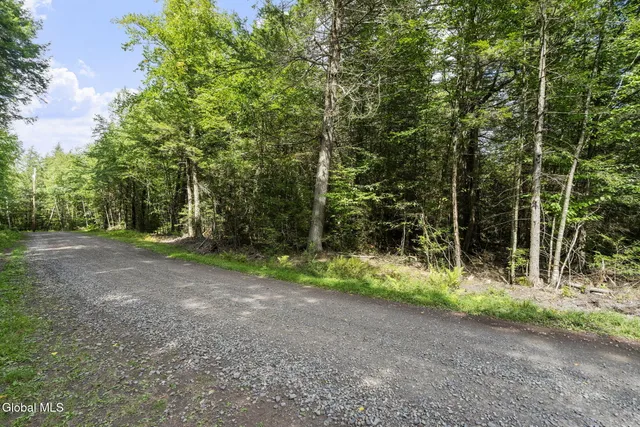 $79,900 | L32 Eds Road, Windham, NY 12496