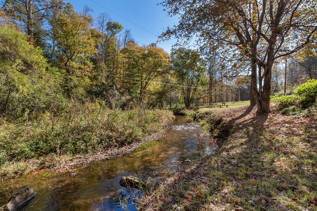3391 Candy Mountain Road Murphy, NC 28906 - Photo 5 of 62